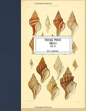 portada Vintage Prints: Shells: Vol. 8 (en Inglés)