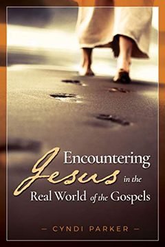 portada Encountering Jesus in the Real World of the Gospels (en Inglés)