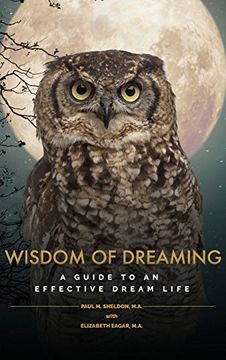 portada Wisdom of Dreaming: A Guide to an Effective Dream Life (Dreamosophy Approach) 