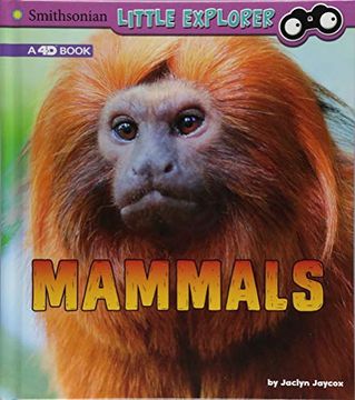 portada Mammals: A 4d Book (Little Zoologist) (en Inglés)