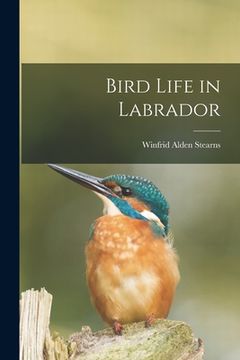 portada Bird Life in Labrador [microform] (en Inglés)