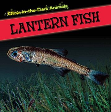 portada Lantern Fish (Glow-in-the-dark Animals)