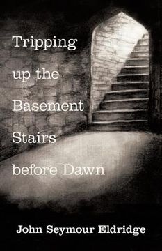 portada Tripping up the Basement Stairs before Dawn: An Awakening (en Inglés)