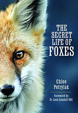 portada The Secret Life of Foxes (en Inglés)
