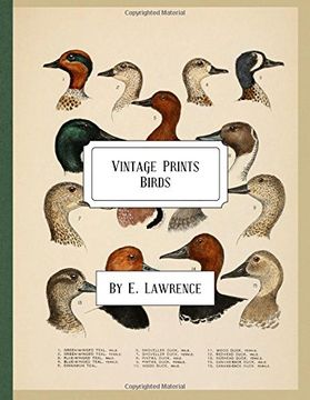 portada Vintage Prints: Birds (in English)