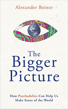 portada The Bigger Picture: How Psychedelics Can Help Us Make Sense of the World