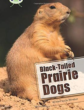portada Black-Tailed Prairie Dogs: Nf White b (en Inglés)