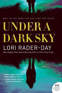 portada Under a Dark Sky: A Novel (en Inglés)