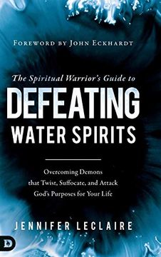 portada Spiritual Warriors Guide to Defeating Water Spirits (en Inglés)