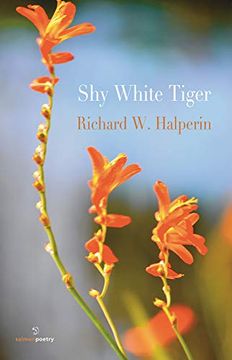 portada Shy White Tiger (en Inglés)