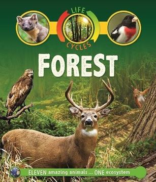 portada Life Cycles: Forest (Paperback) 