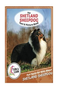 portada The Shetland Sheepdog Fact and Picture Book: Fun Facts for Kids About Shetland Sheepdog (Turn and Learn)
