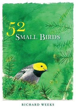 portada 52 Small Birds (en Inglés)