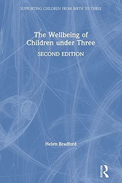 portada The Wellbeing of Children Under Three (Supporting Children From Birth to Three) 