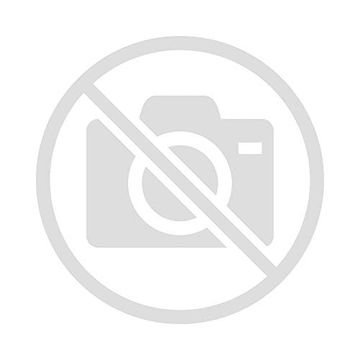 Dislexia e Outras Dificuldades de Aprendizagem Específicas (em Portuguese do Brasil) (en Portugués)