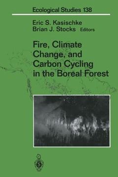 portada Fire, Climate Change, and Carbon Cycling in the Boreal Forest (en Inglés)