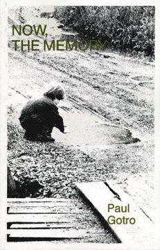 portada Now, the Memory (in English)