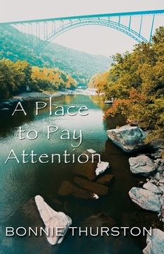 portada A Place to Pay Attention (en Inglés)