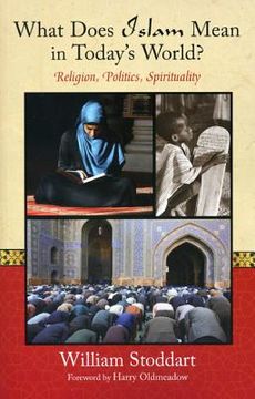 portada What Does Islam Mean in Today's World?: Religion, Politics, Spirituality (en Inglés)