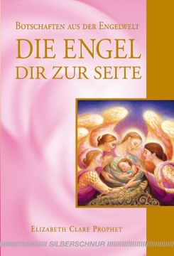 portada Die Engel dir zur Seite: Botschaften aus der Engelwelt (in German)