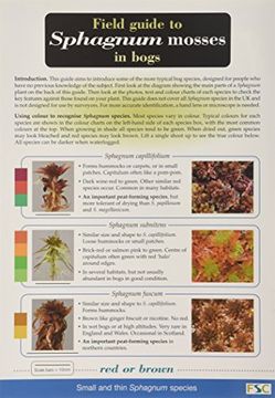 portada Field Guide to Sphagnum Mosses in Bogs (Chart)