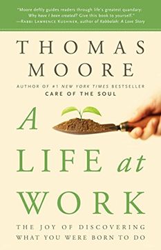 portada A Life at Work: The joy of Discovering What you Were Born to do (en Inglés)