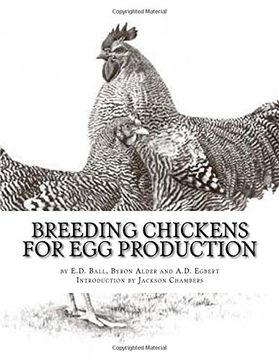 portada Breeding Chickens For Egg Production (in English)
