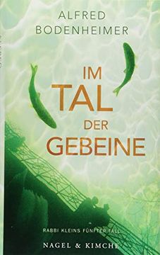portada Im tal der Gebeine: Rabbi Kleins Fünfter Fall (en Alemán)
