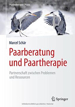 portada Paarberatung und Paartherapie: Partnerschaft Zwischen Problemen und Ressourcen (Psychotherapie: Praxis) (en Alemán)