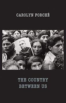 portada The Country Between us 