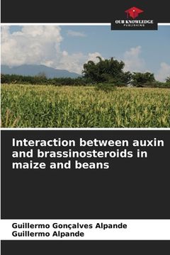 portada Interaction between auxin and brassinosteroids in maize and beans (en Inglés)