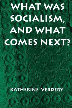portada What was Socialism, and What Comes Next? (en Inglés)