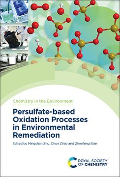 portada Persulfate-Based Oxidation Processes in Environmental Remediation (in English)