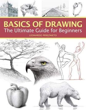 portada Basics of Drawing: The Ultimate Guide for Beginners 