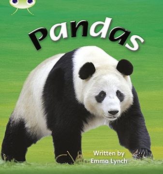 portada Phonics bug Pandas Phase 3 (en Inglés)