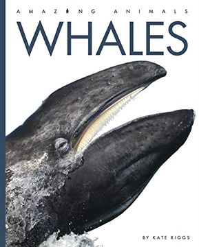 portada Whales (Amazing Animals) 