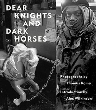 portada Dear Knights and Dark Horses 