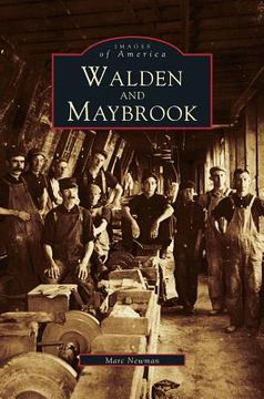 portada Walden and Maybrook (en Inglés)