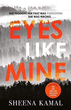 portada Eyes Like Mine: 'Utterly compelling . . . Will stay with you for a long, long time' Jeffery Deaver