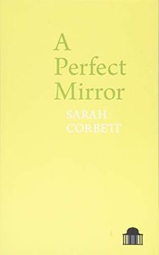 portada A Perfect Mirror: A Comparative Study of Irish Catholic and Jewish Radical and Communal Politics in East London, 1889-1912 (Pavilion Poetry) 