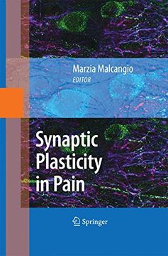 portada Synaptic Plasticity in Pain