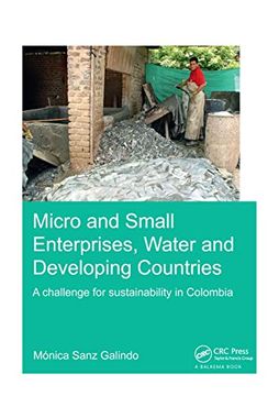 portada Micro and Small Enterprises, Water and Developing Countries: A Challenge for Sustainability in Colombia (Ihe Delft phd Thesis Series) (en Inglés)