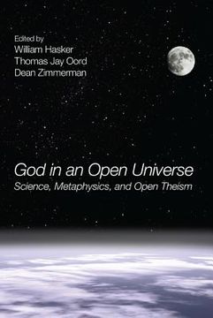 portada god in an open universe: science, metaphysics, and open theism