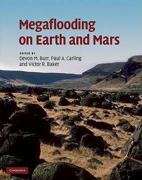portada megaflooding on earth and mars