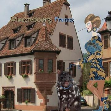 portada Wissembourg, France (in English)