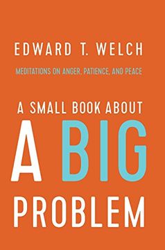 portada A Small Book about a Big Problem: Meditations on Anger, Patience, and Peace (in English)