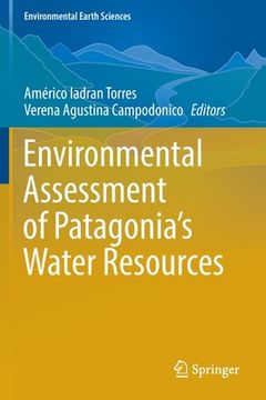 portada Environmental Assessment of Patagonia's Water Resources (en Inglés)