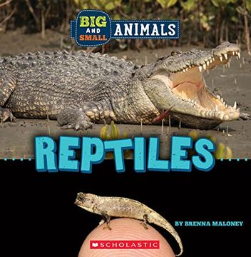 portada Big and Small: Reptiles (Wild World) (in English)