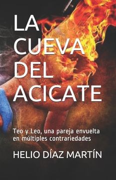 portada La Cueva Del Acicate: Teo Y Leo, Una Pareja Envuelta En Múltiples Contrariedades (spanish Edition)