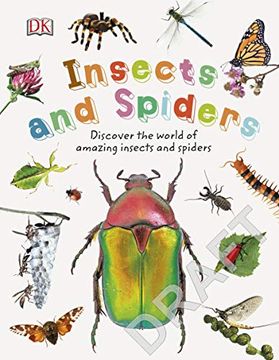 portada Insects and Spiders: Discover the World of Amazing Insects and Spiders (Nature Explorers) (en Inglés)